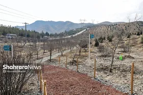 رونق باغ زندگی با مشارکت شهروندان مشهدی