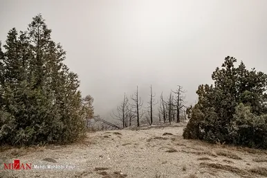 آتش سوزی منطقه حفاظت شده جهان نمای  گلستان