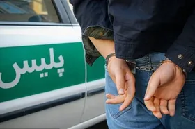 بازداشت شاگرد سوپر مارکت به اتهام سرقت و تجاوز