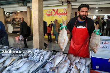 گزارش تصویری |  بازار ماهی فروشان در شهرک عرب‌های مشهد