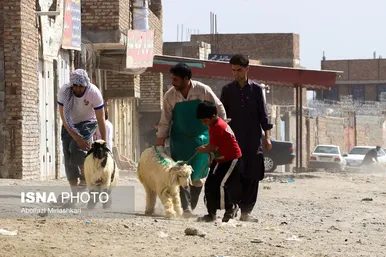 گزارش تصویری | عید قربان در زاهدان