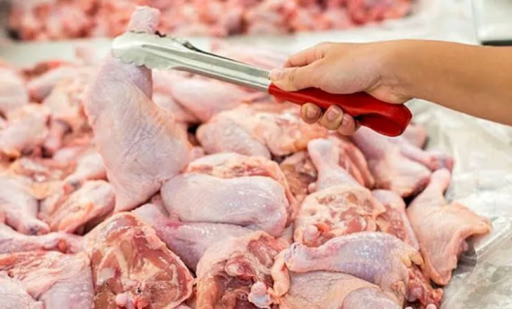 بیش از ۷۰۰۰ تن کالای اساسی در خراسان رضوی توزیع شد | عرضه مرغ و تخم مرغ کمتر از قیمت مصوب