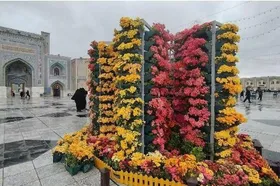 &nbsp;عطر شادی در بهشت هشتم پیچیده است | آغاز جشنی به بزرگی کرامت امام مهربانی&zwnj;ها + تصاویر