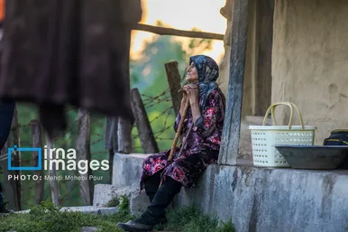 گزارش تصویری | زندگی در قلب جنگل های هیرکانی