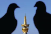 ۸ دقیقه تا بهشت