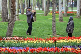 گزارش تصویری | جشنواره گل&zwnj;های لاله در مشهد