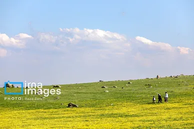ایران زیباست | طبیعت بهاری دامنه کوه سبلان