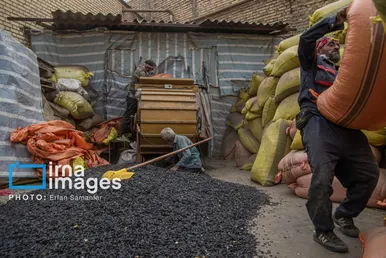 ایران زیباست | «خوی»؛ قطب تولید دانه‌های روغنی آفتابگردان
