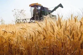 اختصاص ۴۲۵ میلیارد تومان اعتبار برای توسعه مکانیزاسیون کشاورزی خراسان رضوی