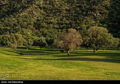 ایران زیباست | طبیعت بهاری منطقه دره اناران سپیدشت خرم آباد