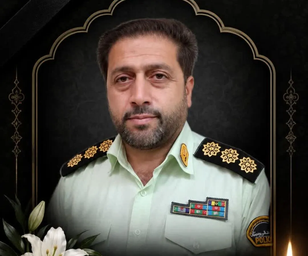 تصادف پلیس 