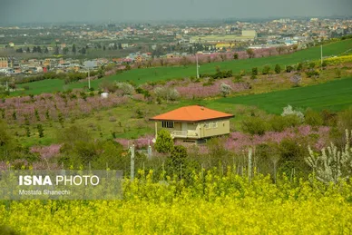 ایران زیباست | طبیعت بهاری روستاهای اطراف ساری