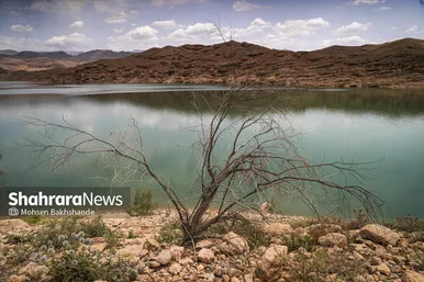 گزارش تصویری | زخم تشنگی بر پیکر سد کارده