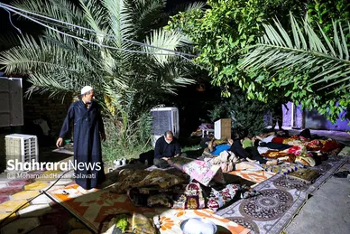 گزارش تصویری | پیاده روی شبانه زائران اربعین در طریق العلماء