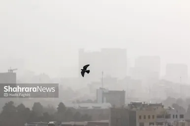 «مشهد» غرق در گردوغبار شدید (۵ دی‌۱۴۰۲)