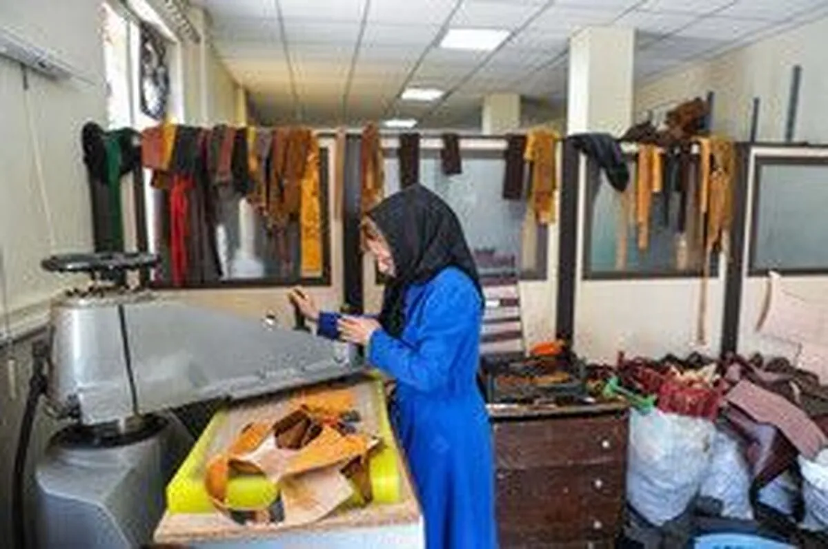 اختصاص ۲۶ درصد تسهیلات اشتغال‌زایی خراسان جنوبی به بانوان