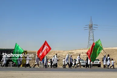 زائران پیاده در مسیر حرم مطهر رضوی