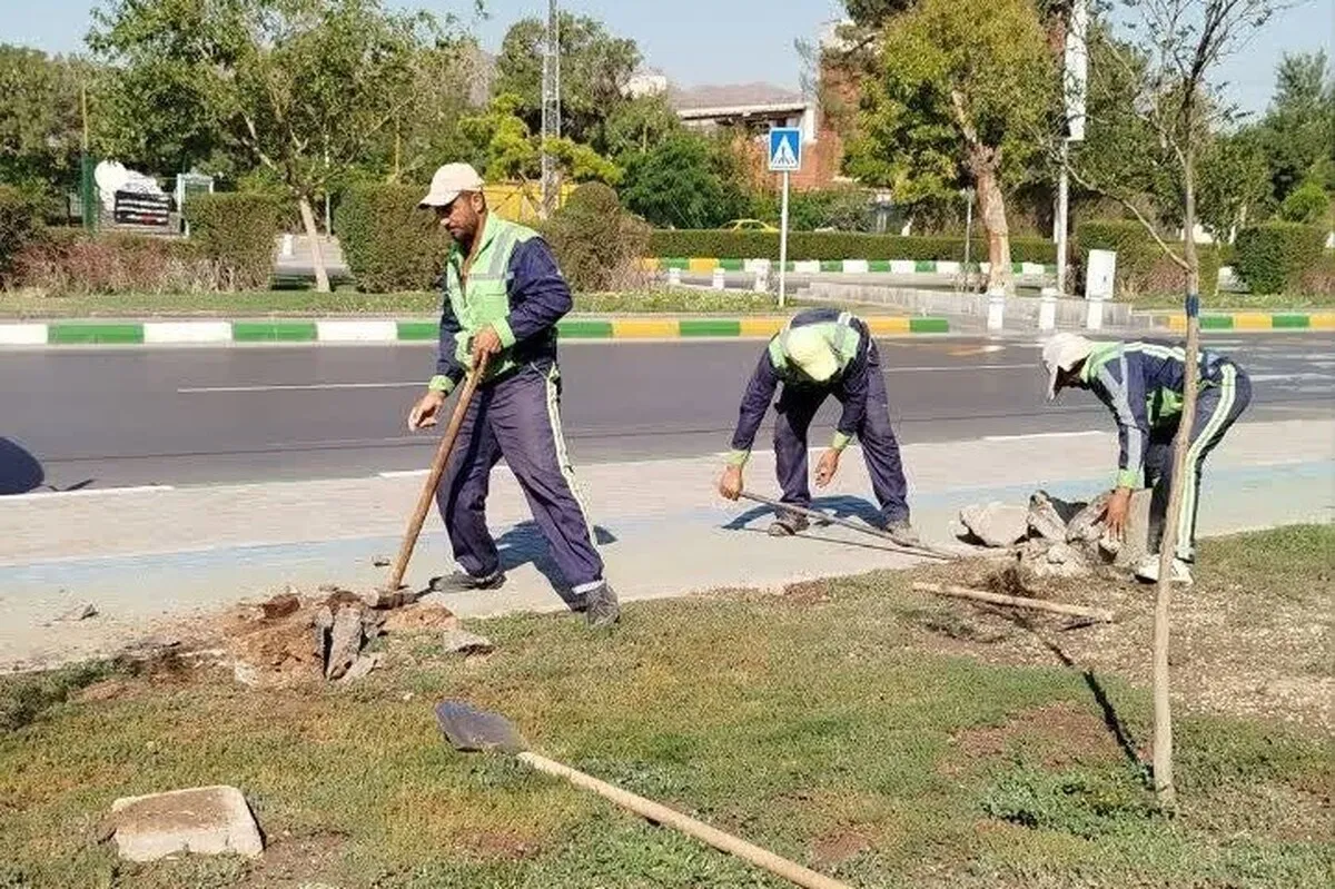 خادمان سبزپوش منطقه ۷ در مسیر عشق؛ آماده‌سازی باشکوه معابر برای استقبال از پیکر مطهر رهبر شهید