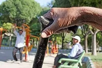 اضطراب و افسردگی در سالمندان را جدی بگیرید