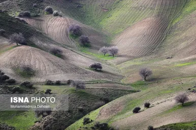 ایران زیباست | زمستان بَهاری در فارس