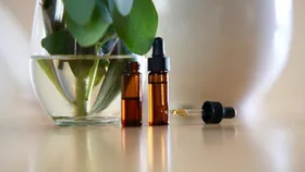 استفاده از رایحه&zwnj;های خاص در درمان فراموشی | ارتباط غیرمنتظره بین جوهر نعنا و آلزایمر