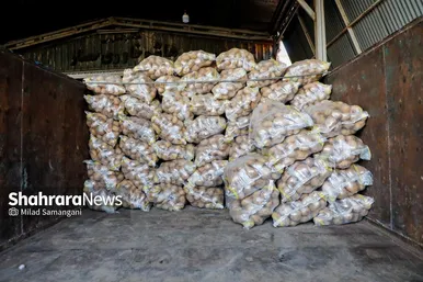 گزارش تصویری | بازدید رئیس کمیسیون اصل ۹۰ از میدان‌بار سپاد مشهد (۲۴ بهمن ۱۴۰۳)