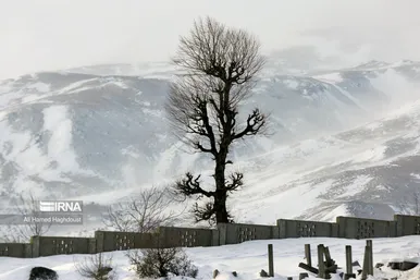 ایران زیباست | طبیعت برفی روستای «زندانه»