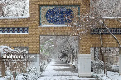 گزارش تصویری | بارش برف در مشهد (۲۱ بهمن ۱۴۰۳)