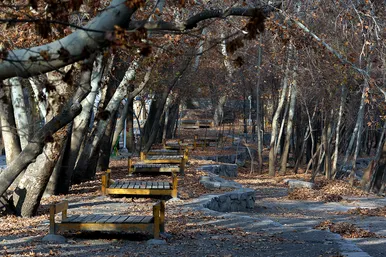طبیعت پاییزی در مشهد