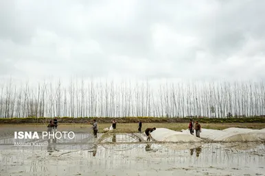 ایران زیباست؛ استان مازندران