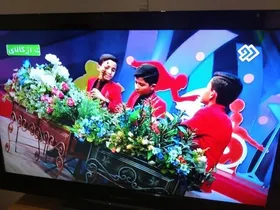 دبیر شورای عالی هنر: صداوسیما دیگر حق ندارد جلوی ساز،&zwnj; گُل بگذارد؟