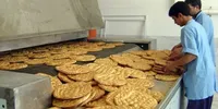 آشنایی با نحوه تهیه و نگهداری اصولی نان در منزل| حواسمان به این برکت خانه باشد