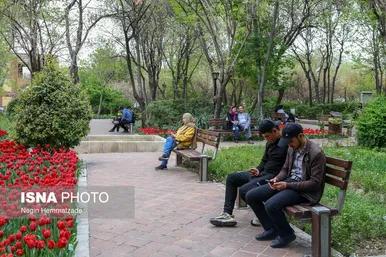 لاله‌های بوستان باغ ایرانی