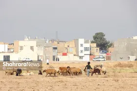 گلایه شهروندان از ساخت&zwnj;وساز&zwnj;های غیرمجاز در مهدی&zwnj;آباد مشهد