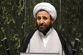 نماینده رفسنجان: نگفتم رئیس مجلس از واگذاری شاسی&zwnj;بلند&zwnj;ها خبر داشته است