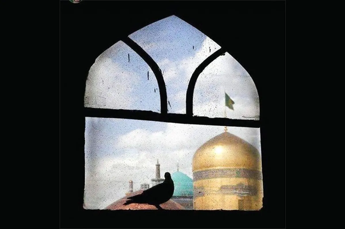 برگزاری نخستین تور عکاسی جشنواره عکس رضوی در مشهد