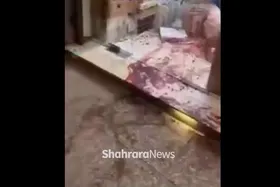 ویدئو | اولین تصاویر از محل ترور قاضی احسان باقری در شیراز