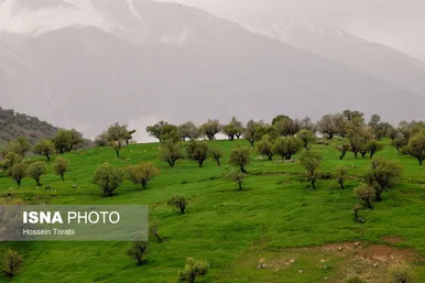 ایران زیباست | طبیعت بهاری چهارمحال و بختیاری