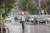 بارش ۳۸ میلیمتری باران در مشهد طی ۳۰ دقیقه (۲۶ اردیبهشت ۱۴۰۳)