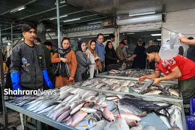 گزارش تصویری |  بازار ماهی فروشان در شهرک عرب‌های مشهد