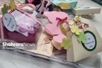 روایتی از حضور بانوان خادم کنار نوزادان تازه‌متولدشده | اشک‌های شوق مادرانه روی پرچم متبرک حرم مطهر رضوی + عکس و فیلم