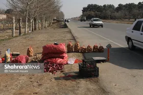 روایتی از خطرات دست&zwnj;فروشی در حاشیه جاده بهشت&zwnj;رضا(ع) مشهد