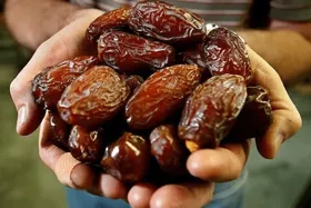 ممنوعیت صادرات خرما لغو شد (۲۸ تیر ۱۴۰۵)