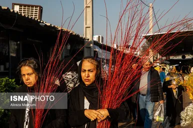 ایران زیباست | بازار گل محلاتی در روزهای پایانی ۱۴۰۳