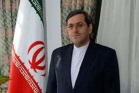 رئیس کمیته هسته&zwnj;ای مجلس: تیم مذاکره&zwnj;کننده ایران کاملاً حرفه&zwnj;ای است