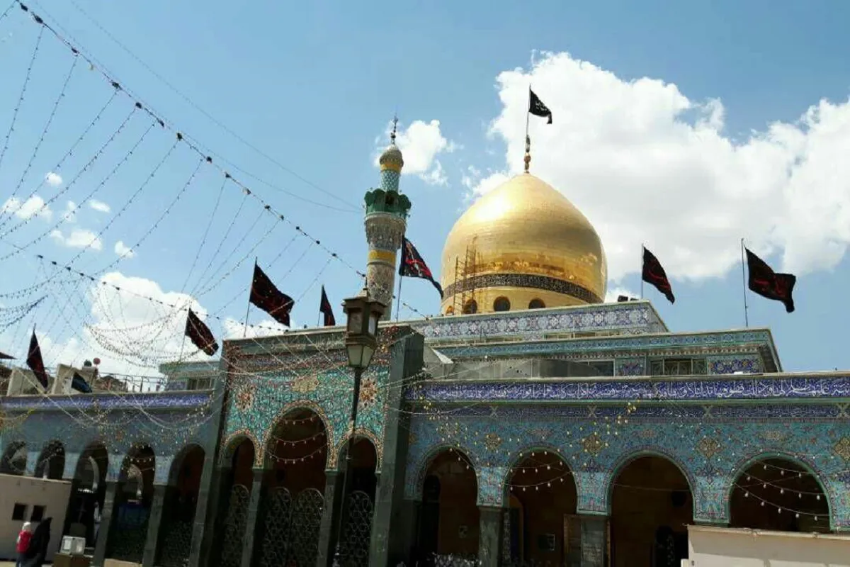 تبیین صبر جمیل زینبی در مکتب رضوی