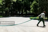 تداوم هوای گرم و وزش باد شدید در خراسان رضوی | دمای امروز مشهد ٣٧ درجه است (٢٣ خردادماه ١۴٠٢)