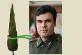 یادی از سرگرد خلبان شهید علی خوش نیت | پرواز از جبهه تا حرم