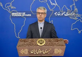 بقائی: جامعه بین&zwnj;الملل نسبت به ترور بانوی ایرانی سکوت نکند
