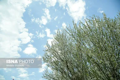 ایران زیباست | طبیعت بهاری روستاهای اطراف ساری